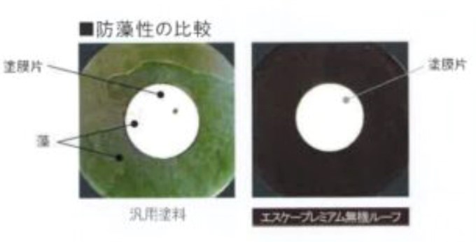 エスケープレミアム無機ルーフの防藻性の比較・藤原ペイント